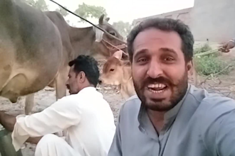 do a funny happy birthday video