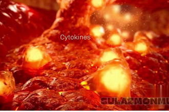 3d medical animation 3d medical anatomy animation and 3d surgery animations