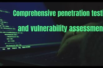 perform website security tests and vulnerability assessment