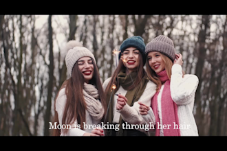 add subtitles, captions and titles to your video professionally