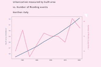 animate short explanation videos italian, english, japanese