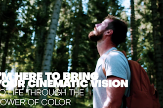 do professional cinematic video editing