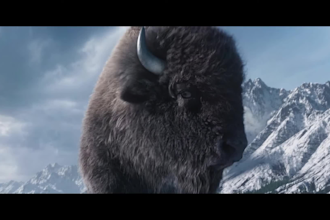 do cgi realistic 3d animal model 3d xgen hair fur 3d animal animation for film
