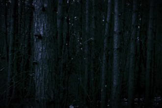 create true crime horror videos with creepy effects and sound