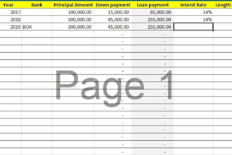prepare excel base financial statements, profit and loss and balance sheet