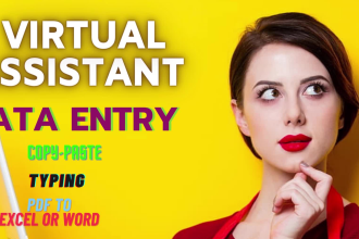do data entry for convert PDF to word, excel, CSV or ocr