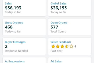 be your amazon fba store coach, amazon virtual assistant