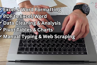 accurate excel and word data entry, formatting and analysis services