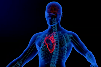 do 3d product animation 3d medical animation 3d dental animation 3d rendering