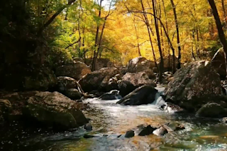 create 30 meditation relaxing  rain video for youtube