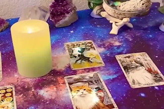 do a career tarot reading, job tarot reading in 24 hours