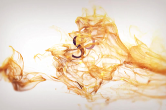 elegant gold particle logo animation