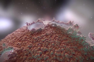 create high quality 3d medical animation for surgery, and dental procedure