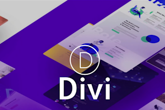 be your expert for wordpress divi theme or divi builder
