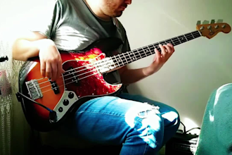 teach you to play bass guitar from beginner to advance