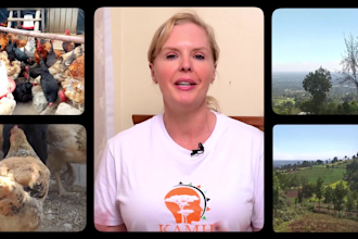 edit you an engaging promo ad