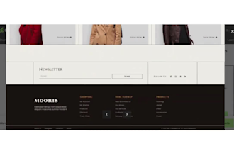 design wordpress ecommerce website on bluehost godaddy siteground hostinger wix