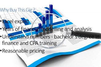 perform financial modeling and financial analysis