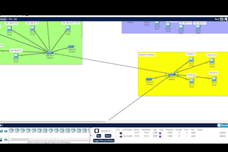 configure and troubleshoot cisco network issues