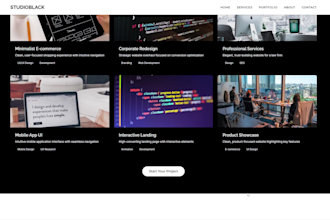 develop a modern, and professional website for your business