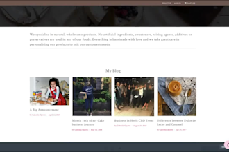develop a wordpress business or ecommerce website in 2 days