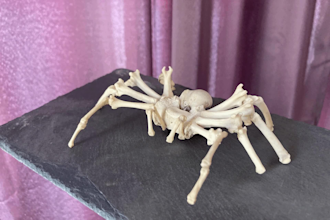 create a unique sculpture made of real bones