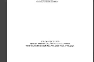 prepare and file UK company accounts and tax returns to hmrc and companies house