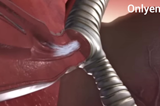 create professional good quality 3d medical animation and modelling