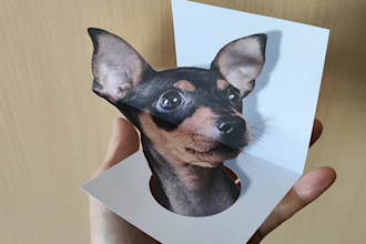 convert 2d image to 3d optical illusion card