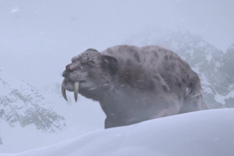render realistic 3d animal model, 3d animal rigging xgen fur 3d animal animation