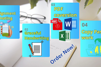 do custom handwriting, assignment formatting, copy paste, PDF conversion tasks