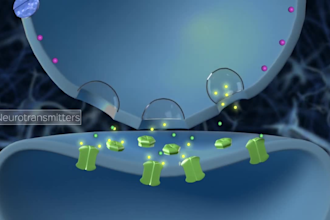 make easy to understand 3d medical animation