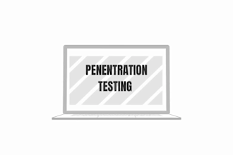 do penentration testing and vapt on your web application