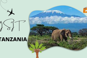 do anything for you in tanzania