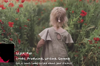 produce a professional level song for you