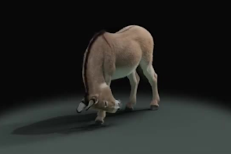 do realistic 3d animal animation, 3d cgi animal model, 3d animal for film, game