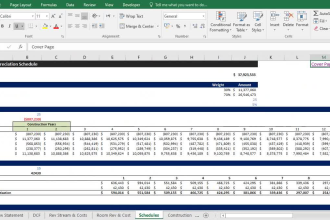 build financial model, forecasts, budgets, for startups and existing businesses