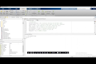 provide matlab and python image and signal processing solutions
