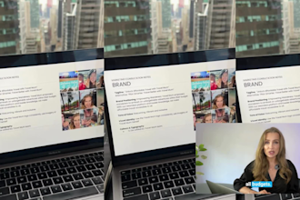 be your cmo marketing director and plugin expert marketing team
