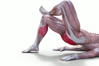 provide stock fitness animations in a close up style