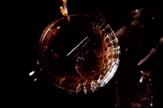 3d soda animation, 3d bottle animation, 3d modelling