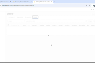 be walmart expert, walmart 2 step dropshipping va