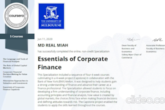 financial accounting, audit, financial analysis and modeling