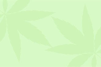 make a 2d explainer animation for your business