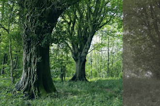 do colour grading and colour correction of your video
