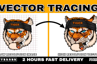 do manual vector tracing with in 2 hours
