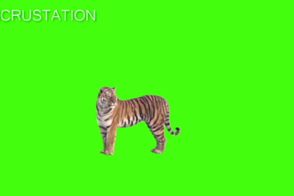 faire vos montages vidéos youtube ou autre