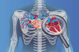 design medical illustration, yoga, scientific illustration anatomy illustration