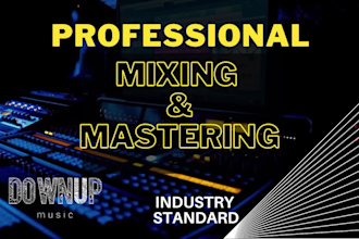 professionally mix and master your song