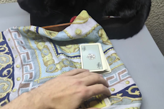 provide tarot or lenormand video card reading in under 24h